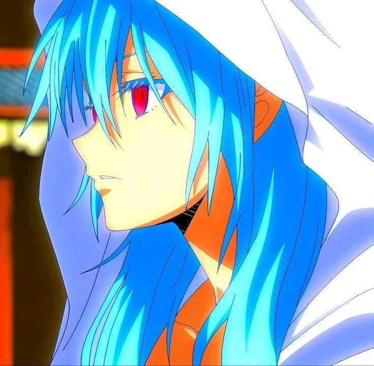 Photo de Zephyr